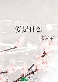 爱是什么